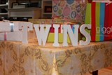 A Storybook Theme Twins Baby Shower